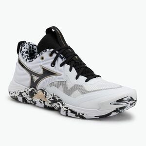 Röplabdacipő Mizuno Wave Momentum Elite white/black/ge gold (Wave Momentum Elite V1GA251241) kép