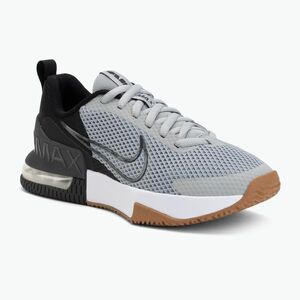 Férfi edzőcipők Nike Air Max Alpha Trainer 6 light smoke grey/black/anthracite (Air Max Alpha Trainer 6 FQ1833-009) kép