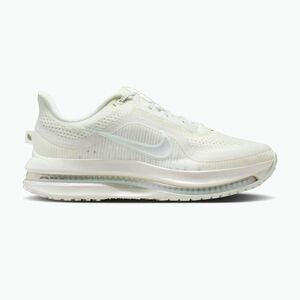 Női futócipő Nike Pegasus Premium ESS summit white/pure platinum/white (Pegasus Premium ESS IO9918-100) kép