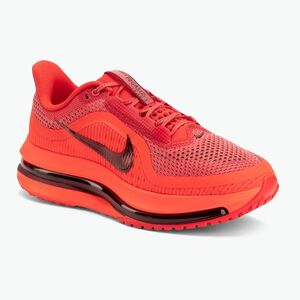 Férfi futócipő Nike Pegasus Premium light crimson/bright crimson/black/team red (Pegasus Premium HQ2592-601) kép