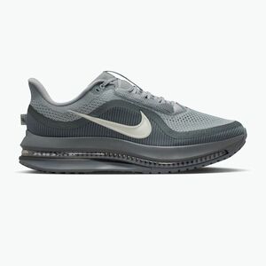 Férfi futócipő Nike Pegasus Premium wolf grey/cool grey/anthracite/sail (Pegasus Premium HQ2592-013) kép