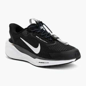Női futócipő Nike Pegasus EasyOn black/anthracite/photon dust/white (Pegasus EasyOn FQ7844-002) kép