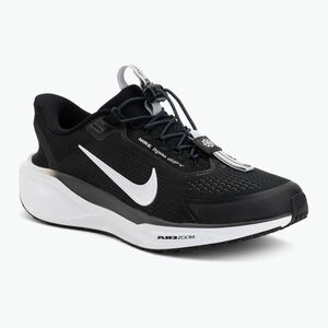 Női futócipő Nike Pegasus EasyOn black/anthracite/photon dust/white (Pegasus EasyOn FQ7837-002) kép