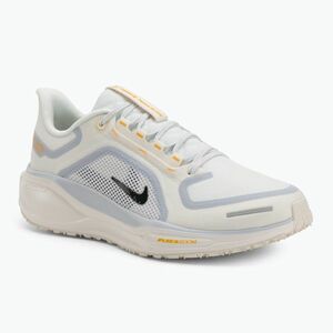 Férfi futócipő Nike Pegasus 41 GTX sail/football grey/sundial/ashen slate (Pegasus 41 GTX FQ1356-102) kép