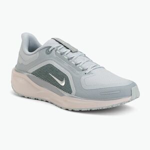 Férfi futócipők Nike Pegasus 41 GTX light pumice/pure platinum/silt red/metal silver (Pegasus 41 GTX FQ1356-007) kép