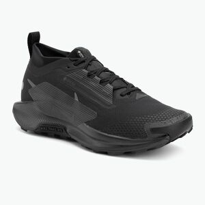Férfi futócipő Nike Pegasus Trail 5 GORE-TEX black/anthracite/black (Pegasus Trail 5 GORE-TEX FQ0908-002) kép