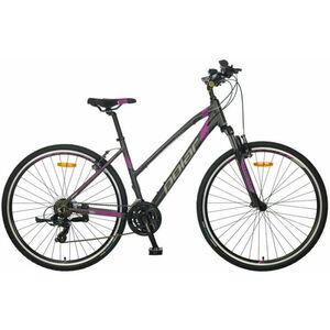 Forester Comp 28 Lady kép