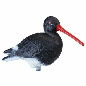 Stepland Csigaforgató csalimadár kép