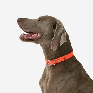 Solognac Kutyanyakörv - 500-as kép