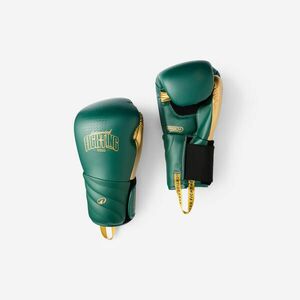 Domyos Boxkesztyű, monoblokk habszivacs kép