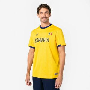 Kipsta Felnőtt futballmez, szurkolói, Románia kép