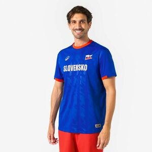 Kipsta Felnőtt futballmez, Szlovénia kép