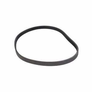 Domyos Hajtásszíj - Initial Rower kép