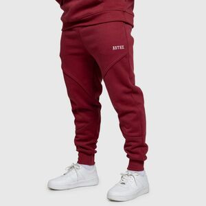 Férfi melegítőnadrág Iron Aesthetics ASTHX, bordó kép