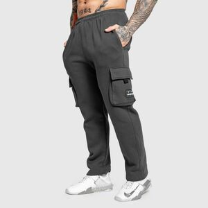 Férfi melegítőnadrág Iron Aesthetics Utility, szürke kép