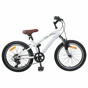 vidaXL Kids Mountain Bike 20 Hüvelyk 6-Speed 5-8 éves korig való Fehér kép