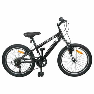 vidaXL Kids Mountain Bike 20 Hüvelyk 6-Speed 5-8 éves korig való kép