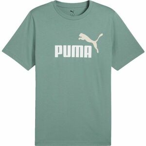 Puma ESSENTIALS 2COLOR SMALL NO 1 LOGO TEE Férfi póló, zöld, méret kép