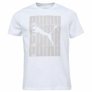 Puma GRAPHIC PUMA WORDING TEE Férfi póló, fehér, méret kép