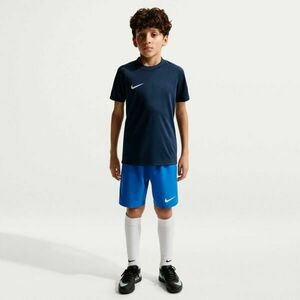 Nike DRI-FIT PARK VIII JR Gyerek futballmez, sötétkék, méret kép