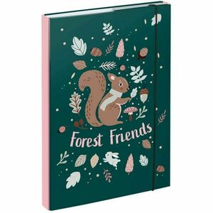 BAAGL SQUIRREL Füzettartó box A4, zöld, méret kép