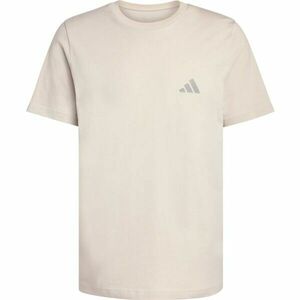 adidas TERREX MOUNTAIN TEE Férfi outdoor póló, bézs, méret XXL kép