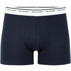 CELIO BINORMAL1 Férfi alsónemű, sötétkék, méret kép