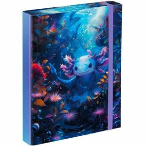 BAAGL AXOLOTL Füzettartó box A5, mix, méret kép