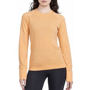 Hosszú ujjú póló Craft Craft Core Dry Active Comfort kép