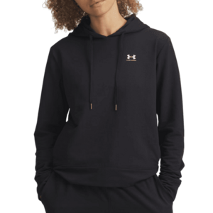 Kapucnis melegítő felsők Under Armour Under Armour Sport Terry Hoodie kép