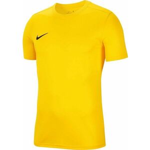 Póló Nike M NK DRY PARK VII JSY SS kép