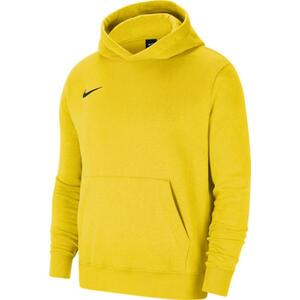 Kapucnis melegítő felsők Nike Y NK FLC PARK20 PO HOODIE kép