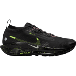 Terepfutó cipők Nike Pegasus Trail 5 GORE-TEX kép