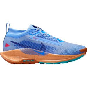 Terepfutó cipők Nike Pegasus Trail 5 GORE-TEX kép