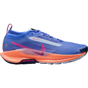 Terepfutó cipők Nike Pegasus Trail 5 GORE-TEX kép