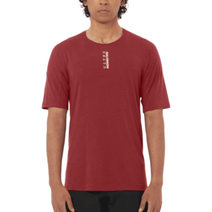 Rövid ujjú póló Salomon ULTRA ALL DAY - ALL MOUNTAIN SS TEE M kép