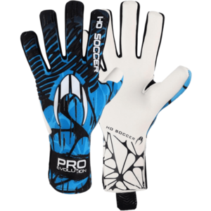 Kapuskesztyű HO Soccer HO Soccer Pro Evolution II NG Gloves kép