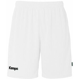 Rövidnadrág Kempa Team Shorts kép