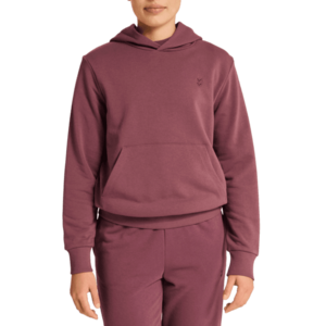 Kapucnis melegítő felsők Hummel Hummel Pulse Sweat Hoody Women kép