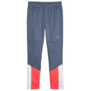 Nadrágok Puma individualCUP Training Pants Jr kép
