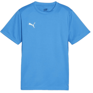 Rövid ujjú póló Puma teamGOAL T-Shirt kép