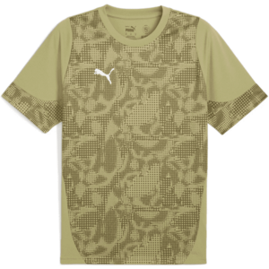 Póló Puma teamCUP Jersey kép