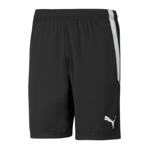 Rövidnadrág Puma teamLIGA Shorts kép