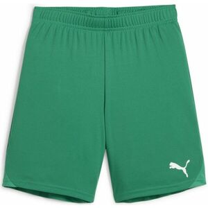 Rövidnadrág Puma teamGOAL Shorts Jr kép