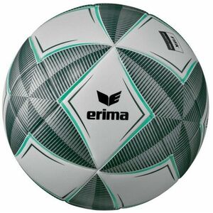 Labda Erima Erima -Star Pro Trainingsball kép