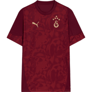Póló Puma GSK Training Jersey 2025/26 kép