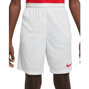 Rövidnadrág Nike Dri-FIT Park III Women kép