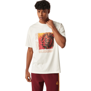 Rövid ujjú póló Puma Galatasaray Istanbul T-Shirt kép