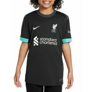 Póló Nike LFC Y NK DF JSY SS STAD AW 2024/25 kép