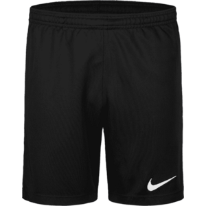 Rövidnadrág Nike Dri-FIT Park 26 Kids kép